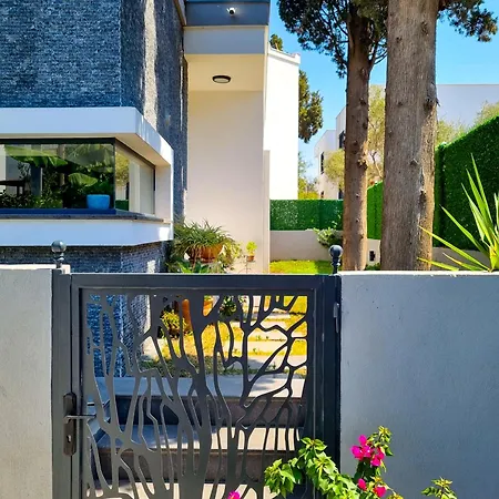 Suelo Flat טורגוטריס