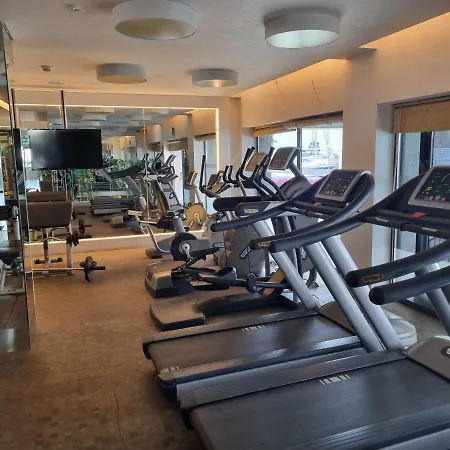 Suelo Flat トゥルグトレイス