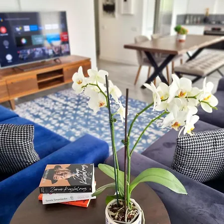 Apartment Suelo Flat