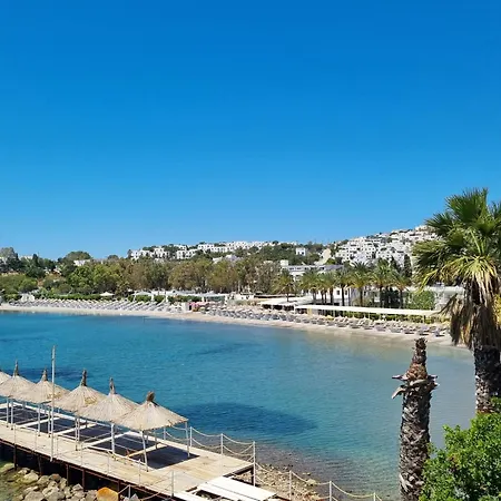 Suelo Flat * Turgutreis