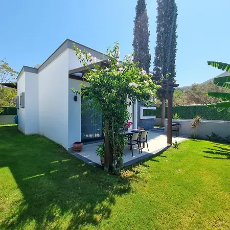 Suelo Flat トゥルグトレイス