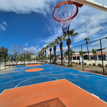 Suelo Flat * トゥルグトレイス