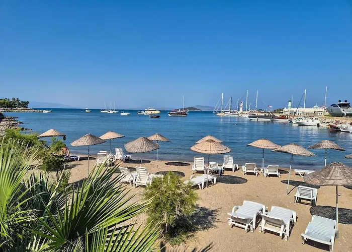 Apartamento Suelo Flat *